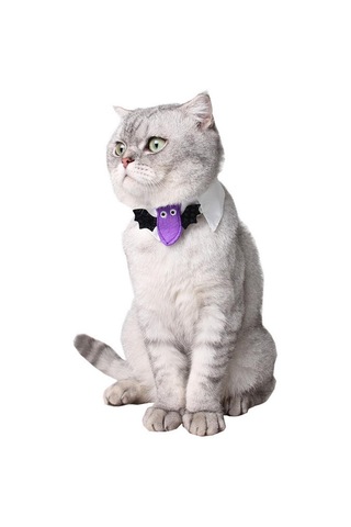 Homyl 2 Adet Pet Papyon Köpek Kedi Ayarlanabilir Boyun Kravat Camgöbeği