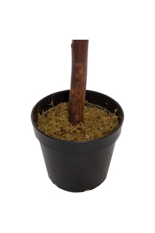Yapay Zeytin Ağacı 120Cm Tek Gövdeli Doğal Gerçek Görünümlü Yapay