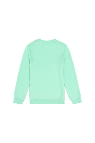 U.S. Polo Assn. Erkek Çocuk Mint Basic V Yaka Kazak 50294200-VR090