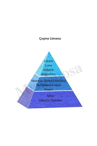 Bargello Çeşme Limonu 50 Ml Plastik Dökme Kolonya Edc