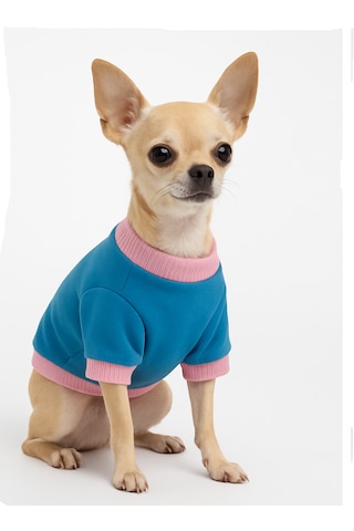 Atölye Zuzu Küçük Irk Köpek Sweatshirt Pamuklu