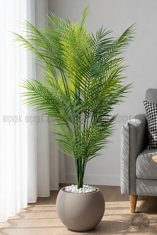 Areka Ağacı 24 Yapraklı 130 Cm Küre Saksıda Kahverengi