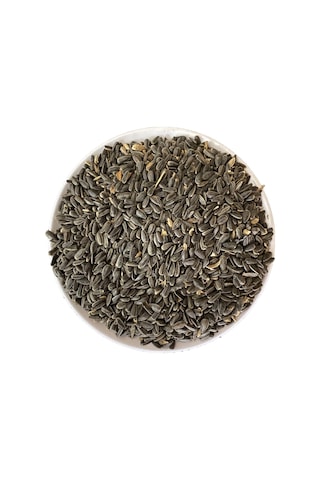 3 Kg Sultan Cennet Papağan Çekirdeği Tozsuz Yem