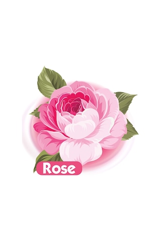 Baby Turco Islak Havlu Mendil 90 Yaprak Gül/Rose 24 Lü Set 2160 Yaprak