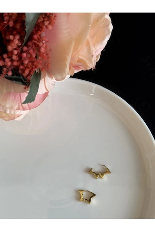 Yıldız Figürlü Çelik Küpe -lotus Serisi Gold