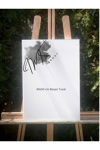 Ims Sanat Tuval