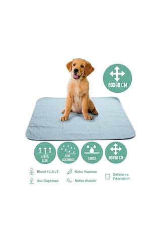 Abso Yıkanabilir Emici Tuvalet Eğitim Köpek Pedi 60 x 90 CM
