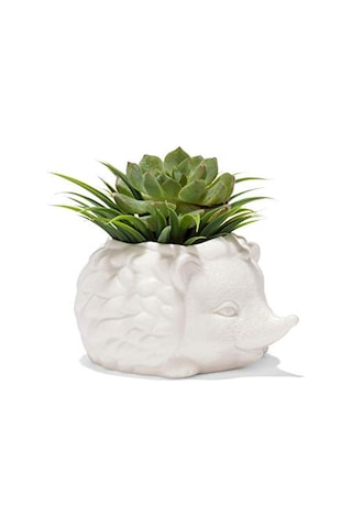 Kirpi Saksısı - Sevimli Seramik Hayvan Sukulent Bitki Saksısı - 7,8 Cm X 14,8 Cm X 13 Cm Genel