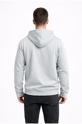 Axxel Erkek Açık Gri 2 İplik Fermuarlı Kapüşonlu Sweatshirt-w1084 Açık Gri