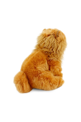 Chow Chow (Çin Aslanı) 28 cm