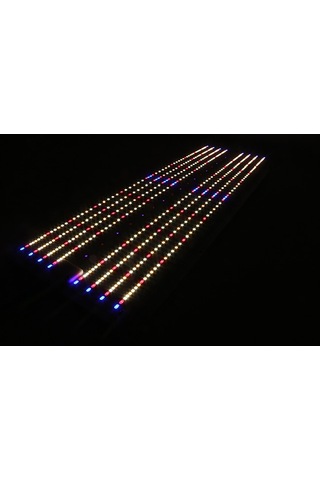 240w Quantum Board Bitki Yetiştirme Lambası Full Spektrum