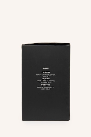 Defacto Erkek 100 Ml Black Steel Parfüm I0222axnsbk2 Odunsu