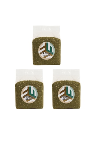 El Yapımı Kahvaltılık Filistin Zahteri 400gr X3 Adet