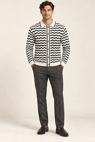 Tarz Cool Erkek Polo Yaka Zikzak Desenli Düğmeli Triko Hırka Akrilik Karışımlı Slim Fit Beyaz