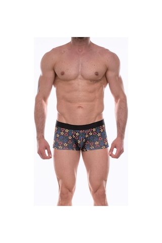 Erkek Çok Renkli Fantezi Giyim Desenli Boxer Hf072208