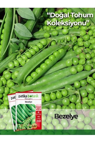 Bezelye Tohumu Utrillo, Araka 50 Adet Taze