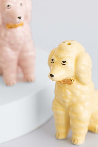 Yvonne Ellen Pastel Poodle Tuz Ve Biberlik Baharat Setleri Çok Renkli
