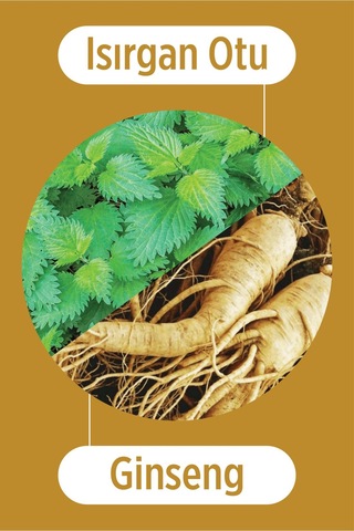 Selesta Life Isırgan Otu Ve Ginseng Özlü Dökülme Karşıtı Durulanmayan Saç Toniği Zayıf Ve Dökülen Saçlar 200 Ml