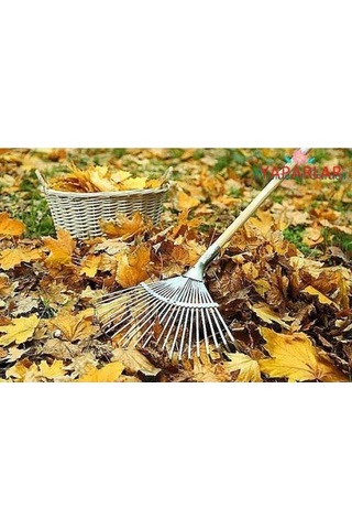 Yaprak Tırmığı Ayarlı Metal Tırmık +Sapı