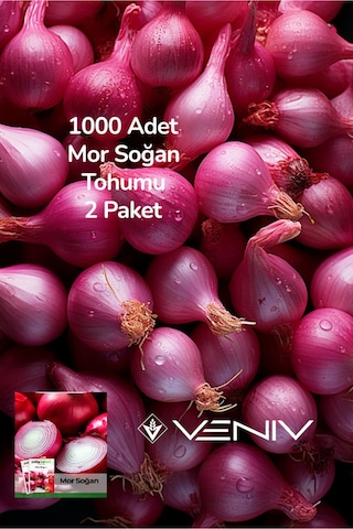 1000 Adet Mor Soğan Tohumu 2 Paket 1000 Adet Mor Soğan Tohumu 2 Paket