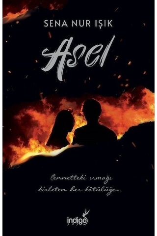 Asel N11.208