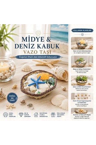 Midye Ve Deniz Kabuğu Vazo Taşı Ahşap Sepetli Diğer