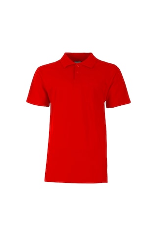 Baran Işık Lakos Polo Yaka Tshirt