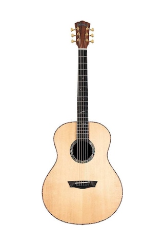 Washburn Bts24s Bella Tono Elegante S24s Abanoz Klavye Zengin D