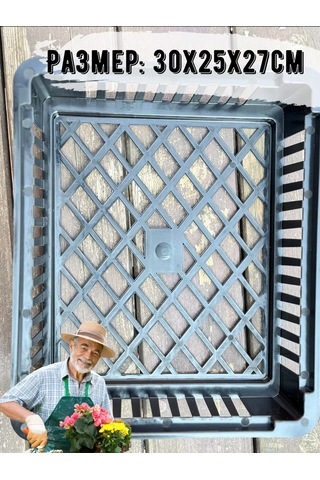 Domdacaogorod Soğanlı Bitkiler Ve Kelebek Yetiştirme Sepeti 263098583