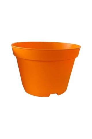 Katı Plastik Sukulent Saksısı 20 Adet Turuncu 8.5 Cm