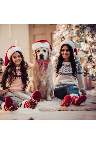 Leezsingfiyonklu Noel Köpek Tasması, Ayarlanabilir Pamuklu Kırmızı Kareli Papyon Büyük Köpekler İçin Noel Köpek Tasmaları Evcil Hayvanlar-15