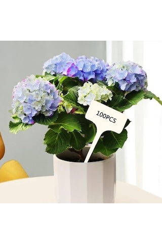 Trendooze Homyl 50 Adet T-şekilli Bitki Etiketi, Saksı Ekici