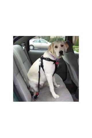 Kedi Ve Köpekler İçin Emniyet Kemeri, Araba Aksesuarı Olarak Kullanım İçin