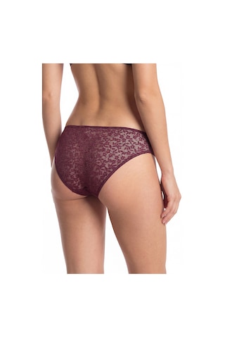 Loya Kadın Mürdüm Nirvana V Slip Külot Murdum
