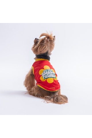 Red-kırmızı Small Things Tişört Kedi Köpek Tişörtü-kedi Köpek Kıyafeti