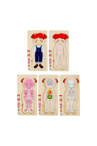 Woody Katmanlı İnsan Vücudu Giydirme Oyunu Ahşap Puzzle Yapboz