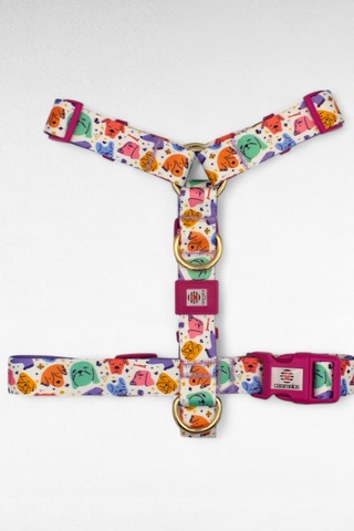 Caramelos Köpek Tasma Seti Kişiye Özel İsimli Tasma H Tipi Tasma Lila