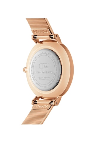 Daniel Wellington Dw00600591 Kadın Kol Saati Diğer