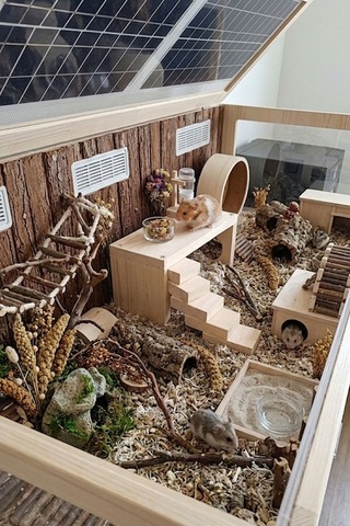 Doğal Ahşap Hamster Platformu & Oyun Alanı 25x11x10 Cm - Kemirgen Ara Kat Yuvası