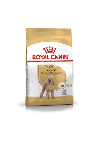 Royal Canin Adult Poodle Küçük Irk Yetişkin Köpek Maması 3 KG