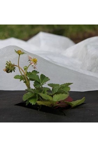 Neevoyu Bitki Isı Koruyucu Örtü 1.5x10m: Biyobozunur Dokuma, Don Ve Frosta Karşı, Isı Tutar, Yeniden Kullanılabilir, Bahçe/farmda Kullanım