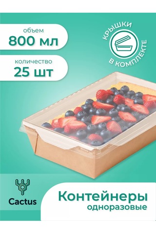 Cactus Tek Kullanımlık Trifle Kutuları, 800 Ml Gıda Kapları 224868223 100 adet