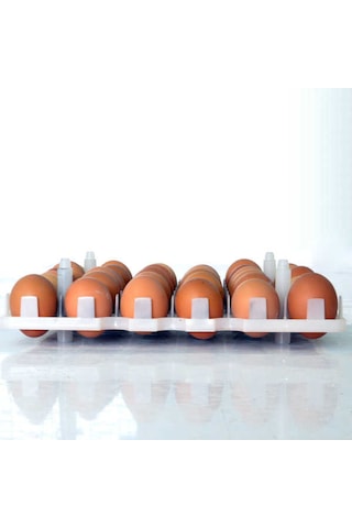 Tavuk Kuluçka Gelişim Tablası 29x29 Cm