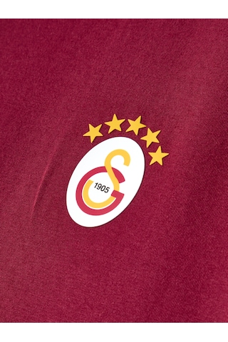 Gsstore Galatasaray Erkek T-shirt E261085 Bordo