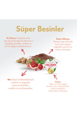 Felicia Sterilised Düşük Tahıllı Somonlu Kısırlaştırılmış Yetişkin Kedi Maması 12 KG
