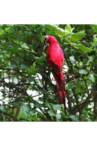 Maotai 2x Papağan Heykel Süs Ağacı Ayakta Hayvan Heykel Dekor