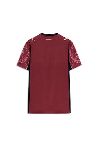 Galatasaray Puma 2025/2026 Alternatif Forma 77981303