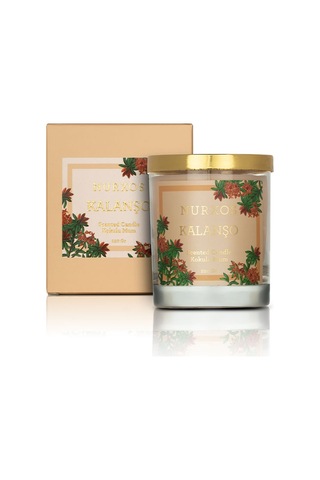 Nurxos Kalanşo Kokulu Mum 220 G