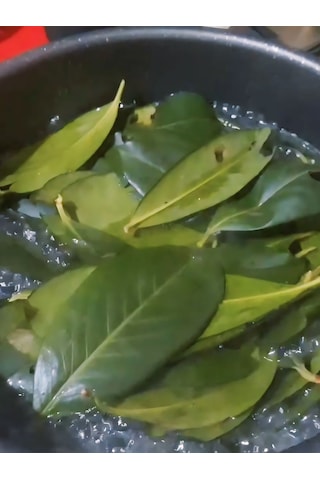 250 Gram Karayemiş-taflan-laz Kirazı Yaprağı Günlük Dalından Top