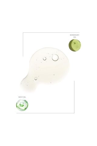 Lexroo Anti-hair Loss Hair Oil Complex 50 Ml - Rosemary & Mint Oil Saç Bakım Yağı